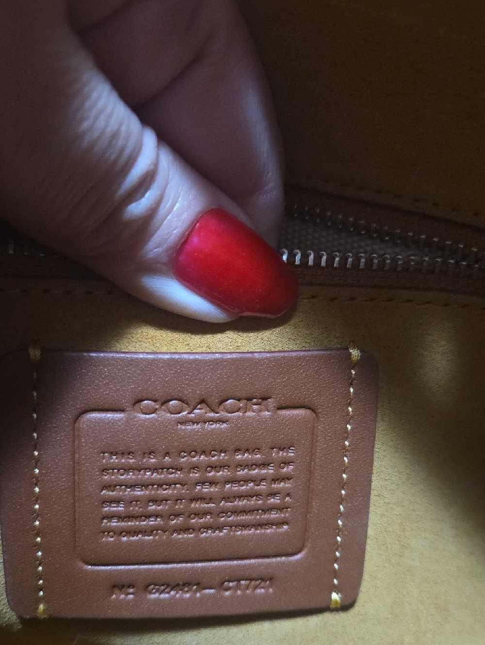 Coach Wester Tabby, Saddle Color Leather Shoulder Bag with Silver Hardware - Picture 11 of 16